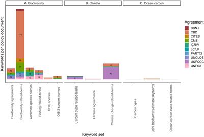 Protecting ocean carbon through biodiversity and climate governance